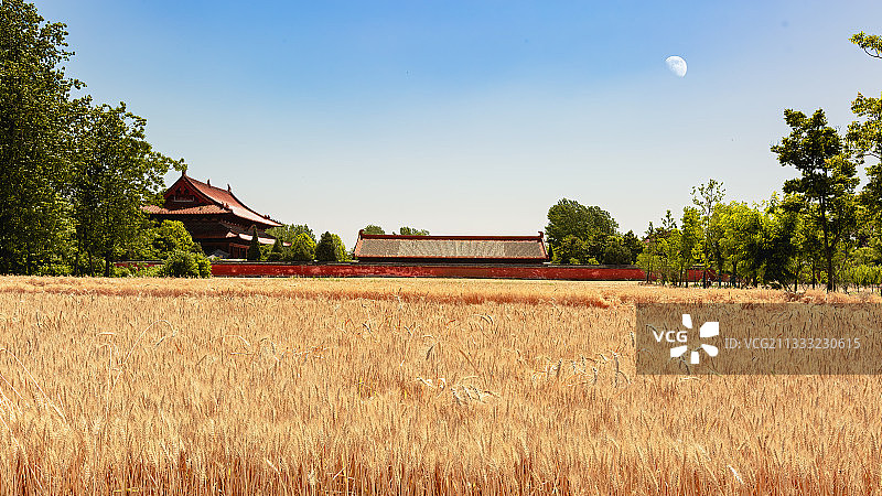 麦收时节的天静宫+安徽亳州涡阳图片素材