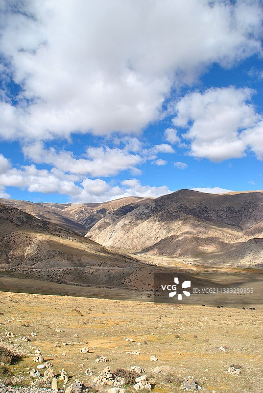 西藏邦达草原的秋天图片素材
