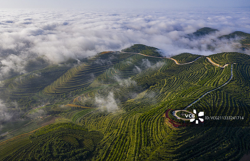 晨光里的云海图片素材