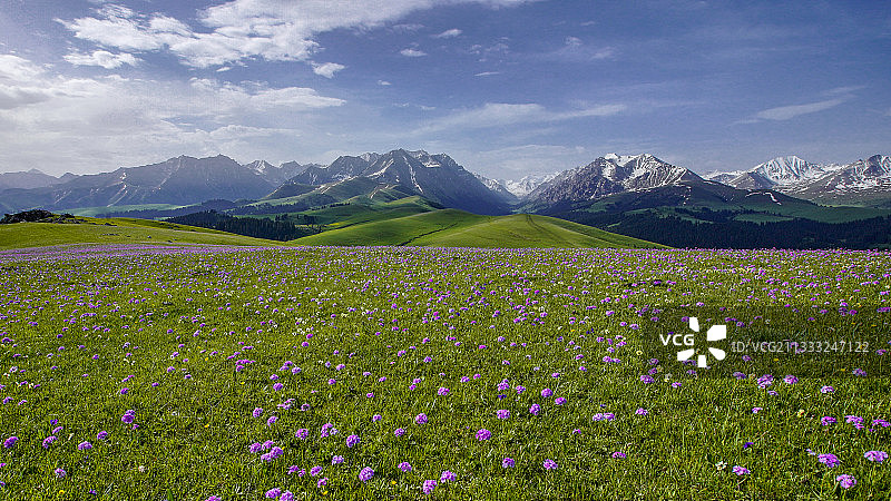 美丽的喀拉峻大草原图片素材