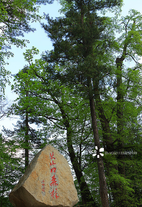 黑龙江镜泊湖火山口国家森林公园图片素材