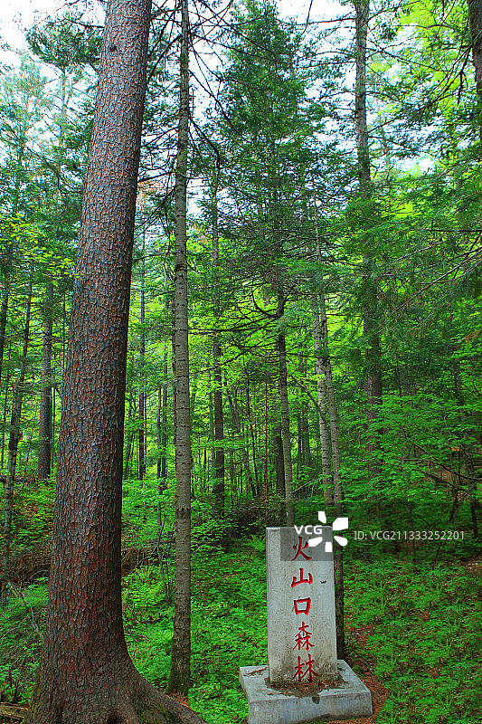 黑龙江镜泊湖火山口国家森林公园图片素材