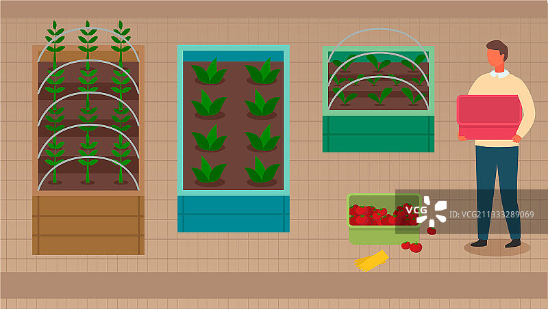 城市农业：园艺中的男人图片素材
