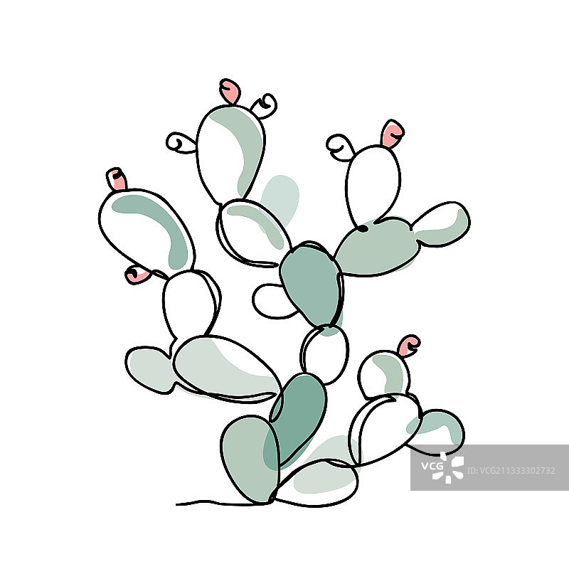 现代单线条仙人掌图片素材