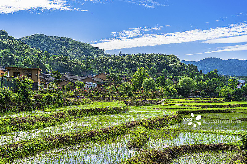 信阳，新县，田铺大湾，创客小镇，乡村，旅游，水稻图片素材