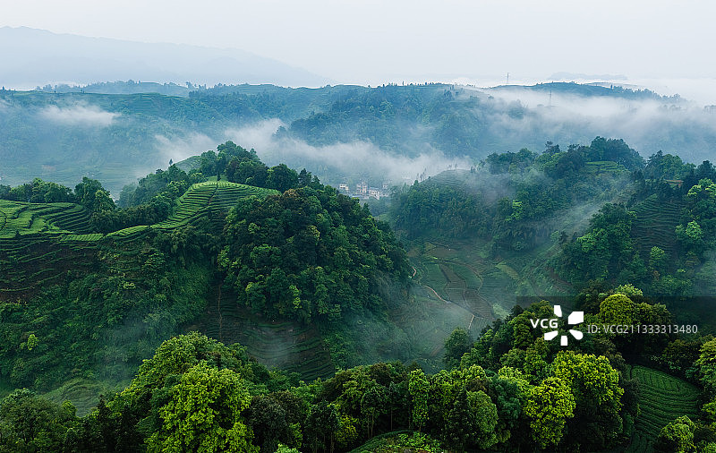 夏劲《霞壁云峰》图片素材