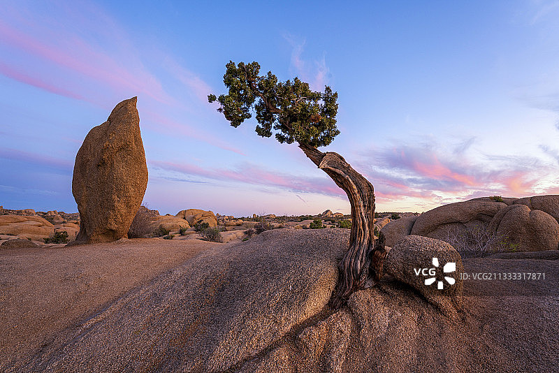 仙人指路图片素材
