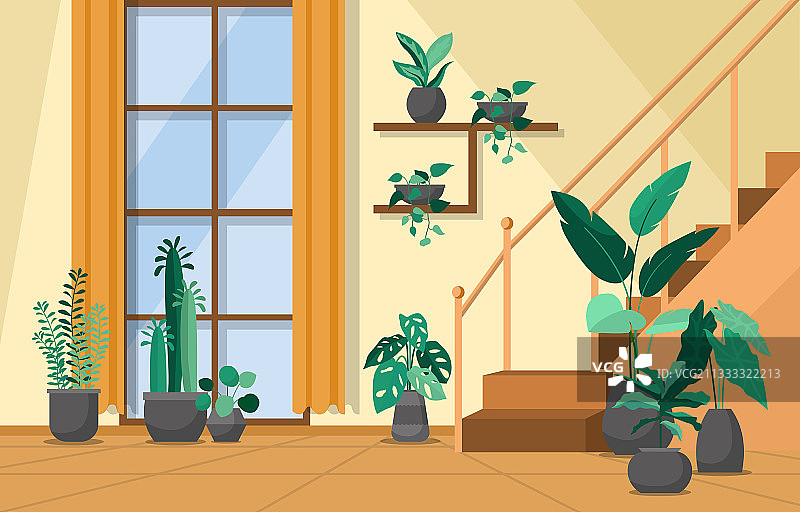 热带室内绿色装饰植物图片素材