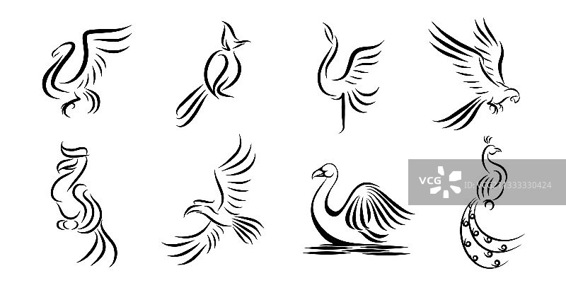 八张不同鸟类图片图片素材