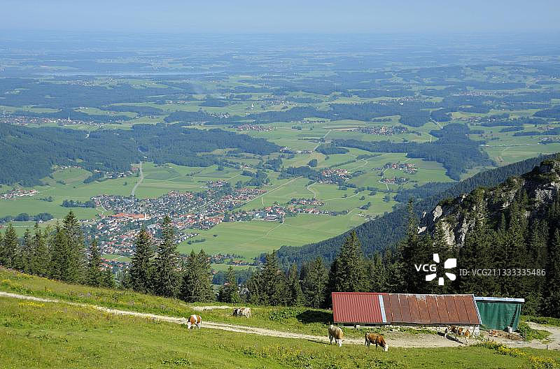 从坎彭万德望向阿绍，8月，基姆高，阿绍，巴伐利亚，德国，欧洲图片素材