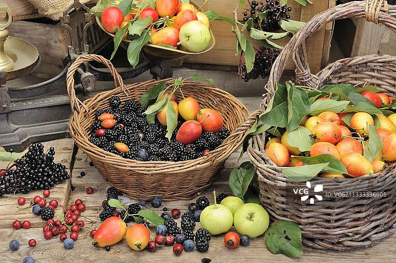 篮子里的可食用树篱果实精选图片素材