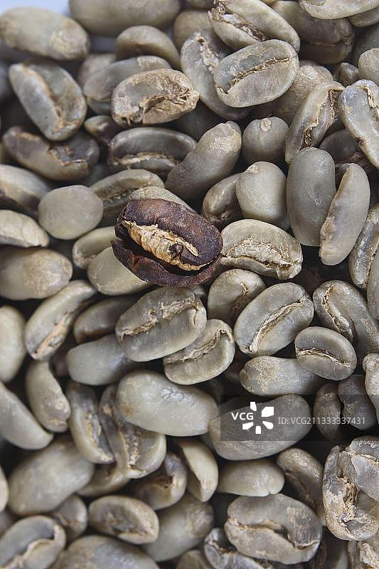 墨西哥马拉戈日佩有机咖啡豆（阿拉比卡咖啡），生咖啡豆，绿色咖啡图片素材