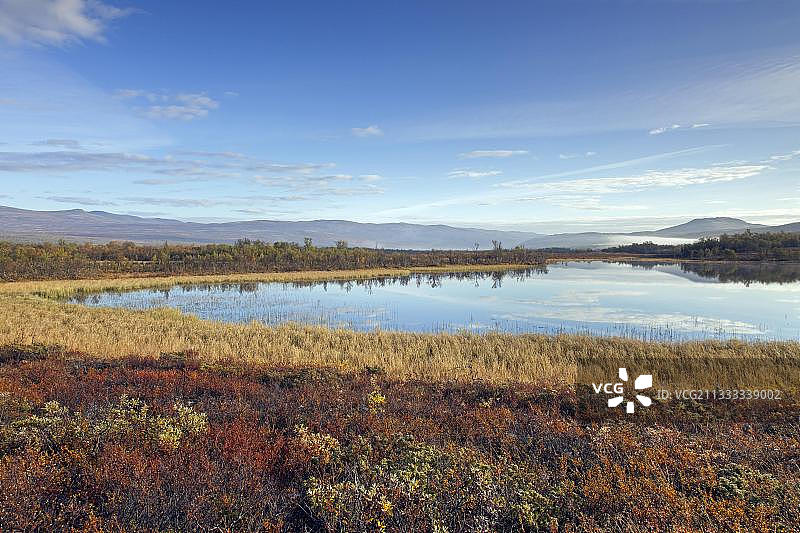秋季挪威多夫勒山Fokstumyra自然保护区的沼泽湖泊图片素材