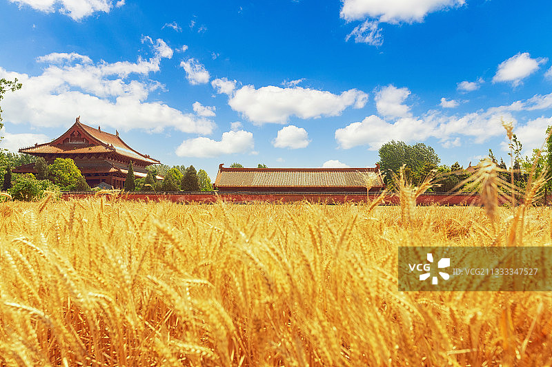 麦收时节的天静宫+安徽亳州涡阳图片素材