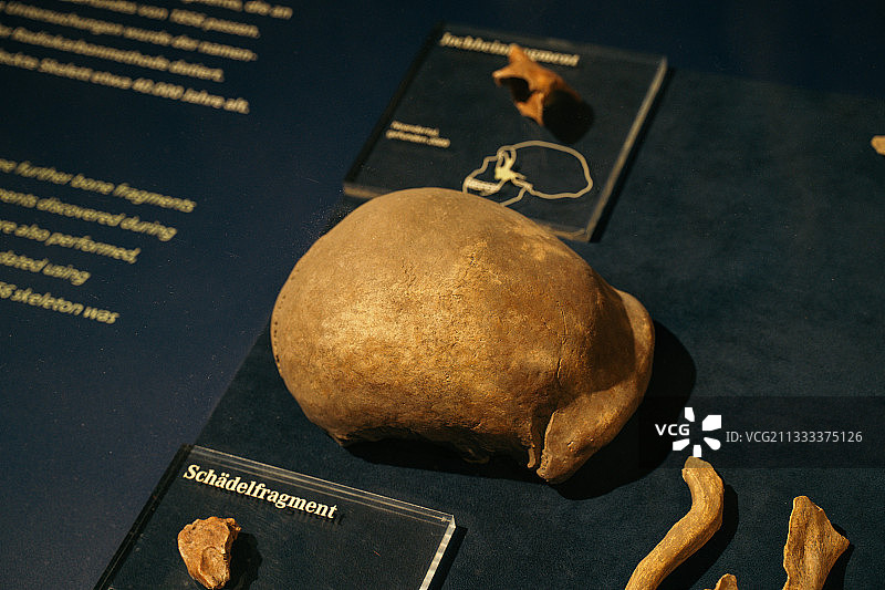德国尼安德特人博物馆尼安德特人头骨图片素材