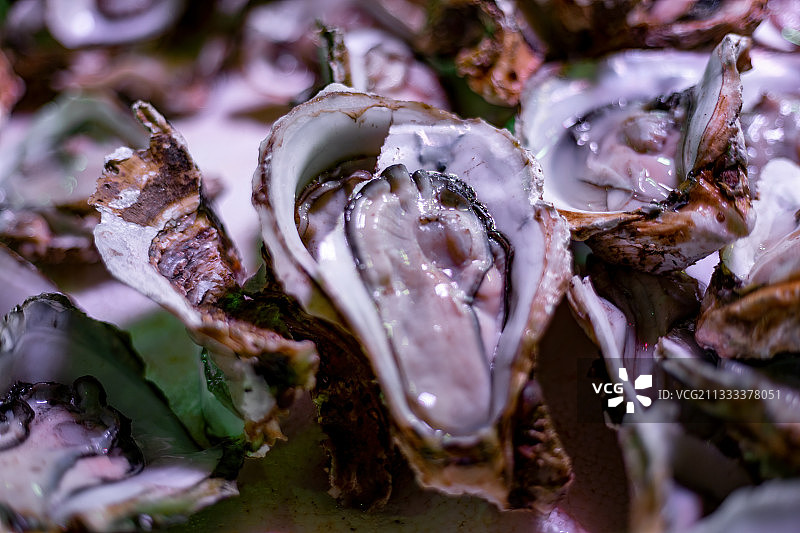 海鲜海产品农产品生蚝渔业水产品图片素材