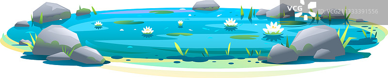 装饰性睡莲池塘图片素材