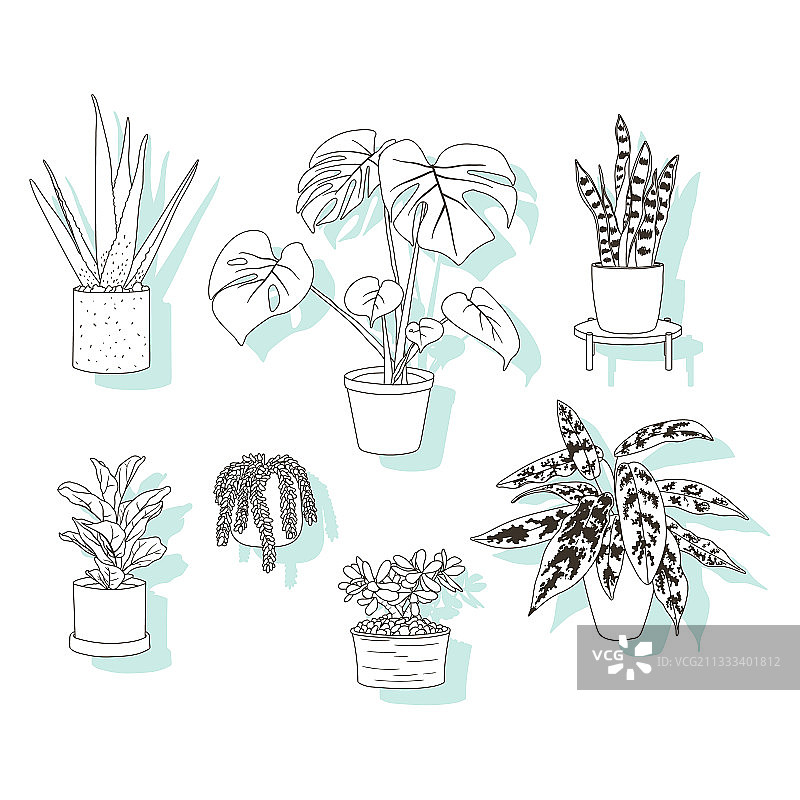 流行室内植物贴纸或图标套装图片素材