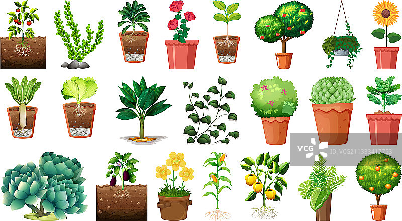 不同的盆栽植物合集（白色背景）图片素材