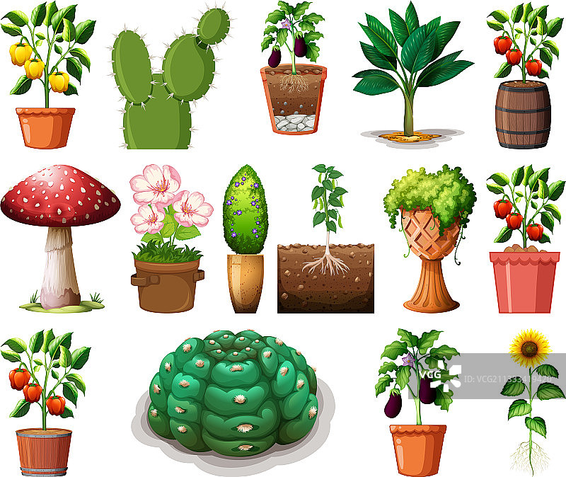 不同的盆栽植物合集（白色背景）图片素材