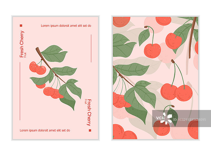 成熟的樱桃卡片设计，香甜新鲜的樱桃图片素材