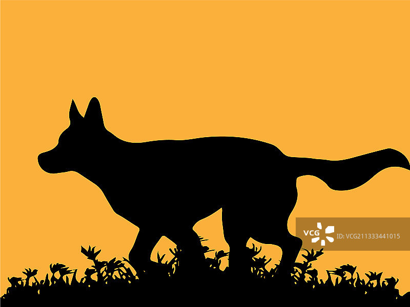 背景分离的小狗图片素材