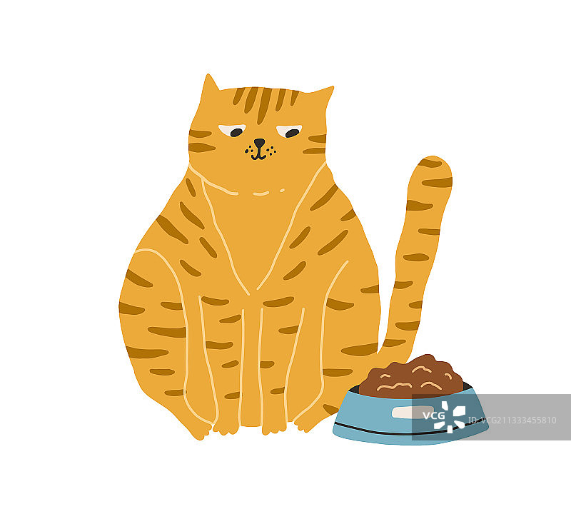 望着食物碗的可爱饥饿猫咪图片素材