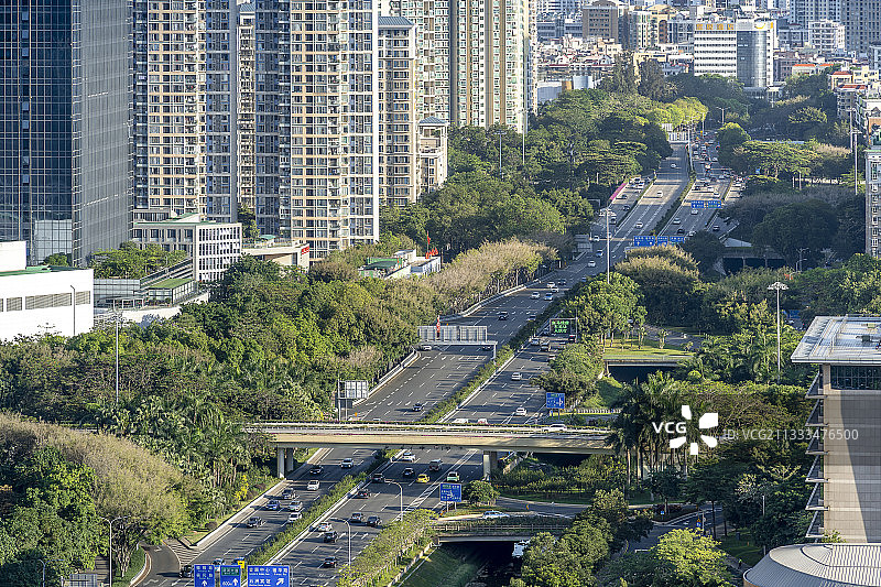 绿荫中的城市公路图片素材
