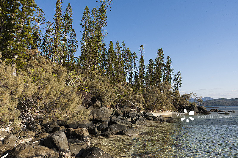 新喀里多尼亚卡西岛海洋保护区铁木和库克松图片素材