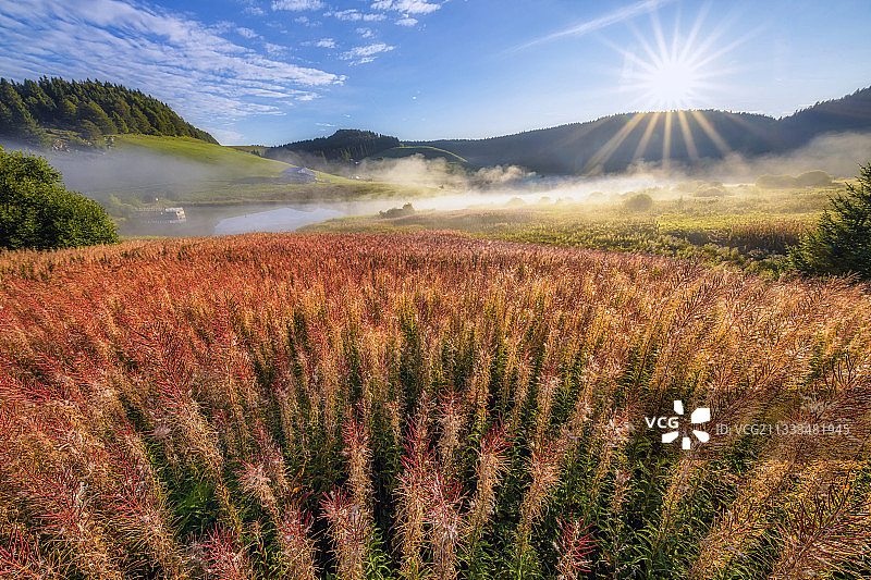 法国汝拉La Pesse附近，朗布特耶水库的薄雾图片素材