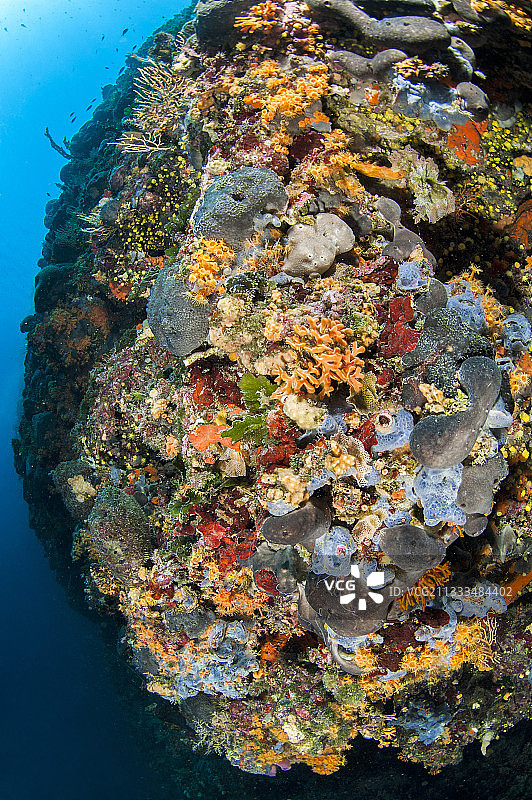 克罗地亚科纳提国家公园的珊瑚墙图片素材
