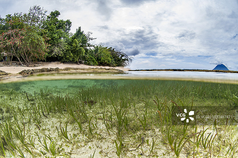 布纳肯国家海洋公园西拉登岛前的海草海床（印度尼西亚北苏拉威西）图片素材