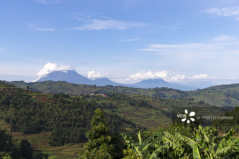 从乌干达看到的维龙加山脉：梯田作物前景图片素材