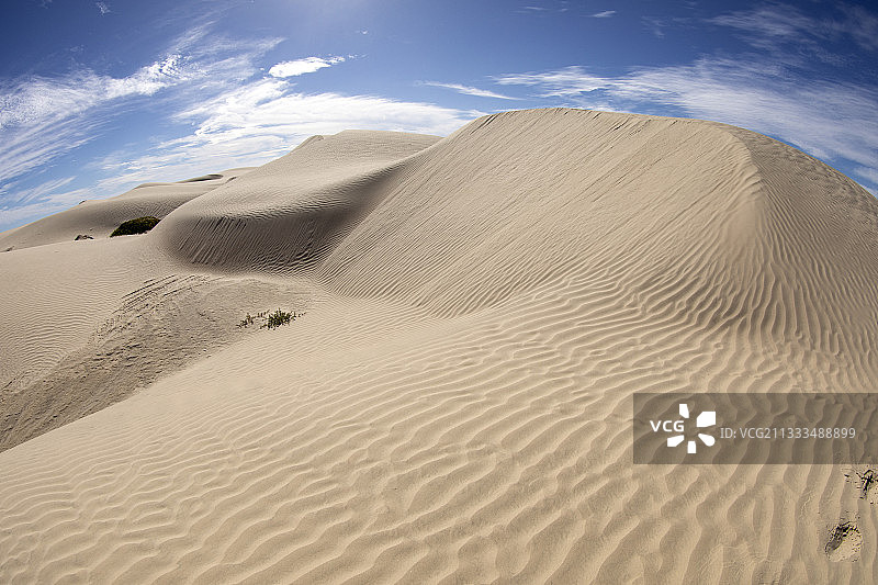 墨西哥下加利福尼亚州马格达莱纳湾的沙丘景观图片素材