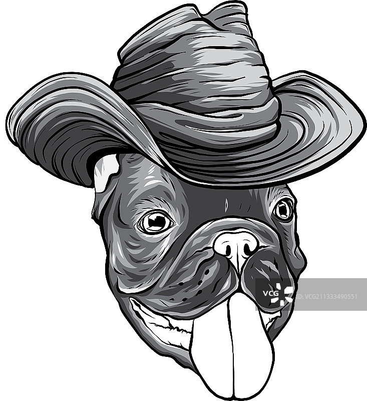 戴牛仔帽的单色小狗图片素材