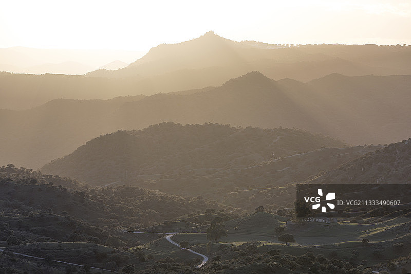 西班牙安达卢西亚山脉的伊比利亚猞猁栖息地图片素材