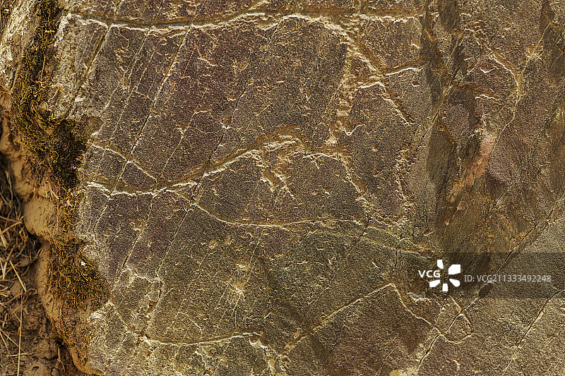 科阿史前岩画遗址（马），科阿河谷的雕刻被联合国教科文组织认定为人类文化遗产，葡萄牙图片素材