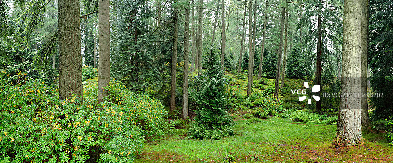 苏格兰本摩尔公园图片素材