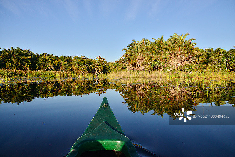 伊西曼加利索湿地公园科西森林小屋风光图片素材