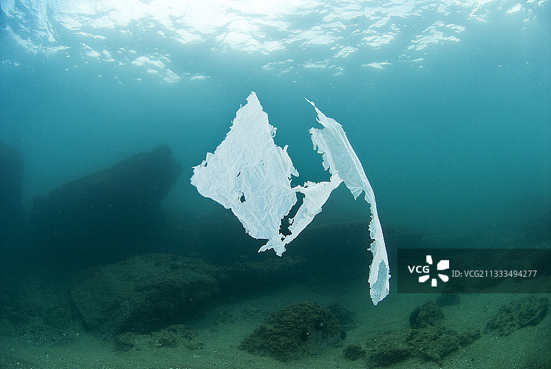 漂浮在两片水域之间的塑料袋，法国埃罗省阿格德角图片素材