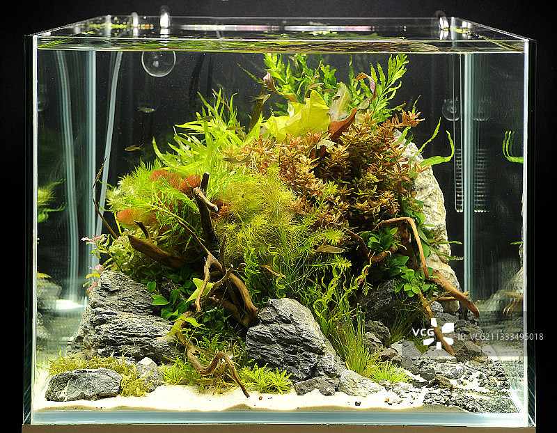 迷你水族箱水景造景图片素材