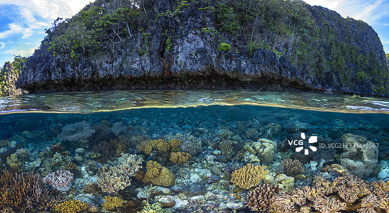 从珊瑚到岩石的全景，位于印度尼西亚拉贾安帕图片素材