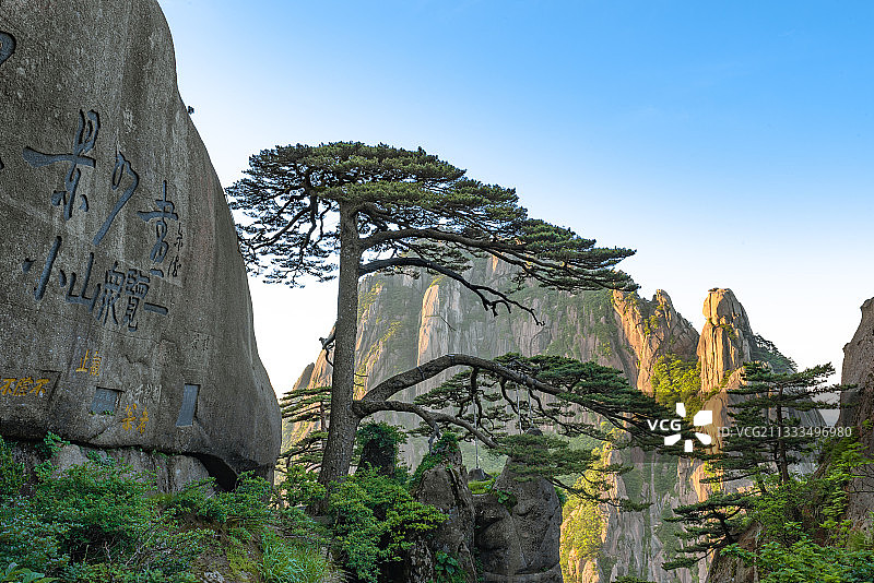 黄山迎客松图片素材