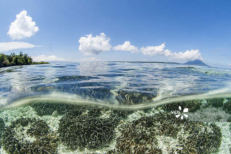 印尼布纳肯国家公园西拉登岛的珊瑚礁水下风光图片素材