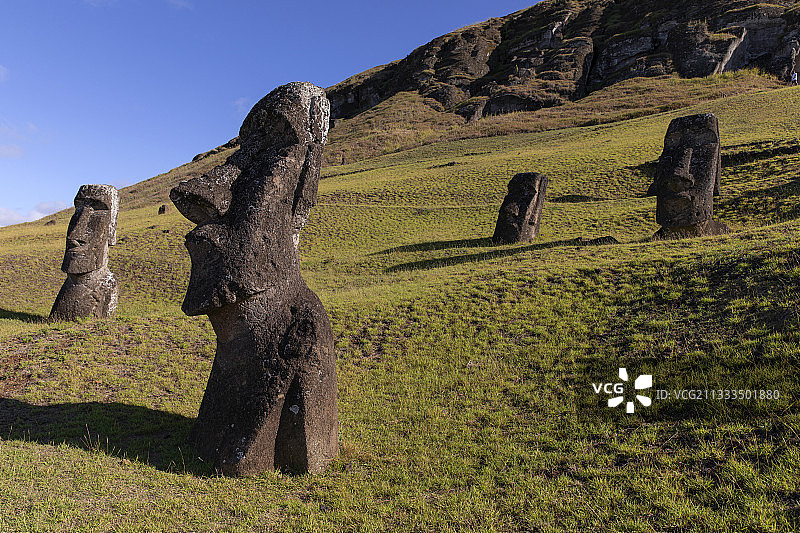 拉诺拉拉库，摩艾采石场，智利复活节岛图片素材