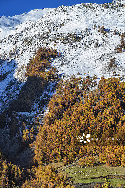法国上于拜埃的秋天牧场图片素材