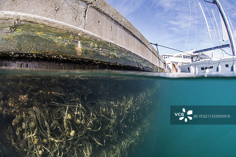 阿格德角港口的人工栖息地半水半空景观图片素材