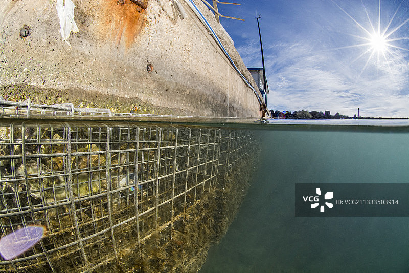 人工栖息地,如安装在阿格德角港码头沿岸的“Biohut”,作为NAPPEX项目(示范港口的人工苗圃)的一部分。这些模块由装满牡蛎壳的钢笼组成,旨在恢复苗圃的生态系统服务,以保护后幼虫和幼鱼,法国奥克西塔尼埃罗省。图片素材