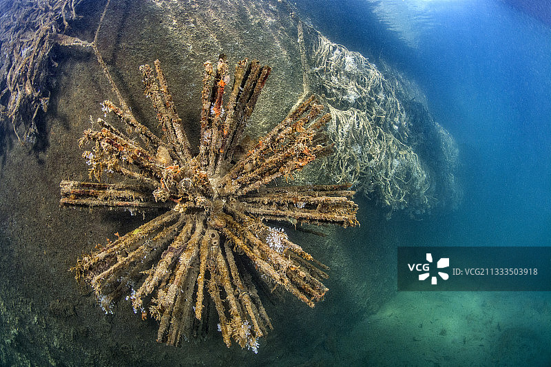 类似“海胆”的人工生物栖息地，安装在码头沿岸，作为幼鱼的人工苗圃图片素材