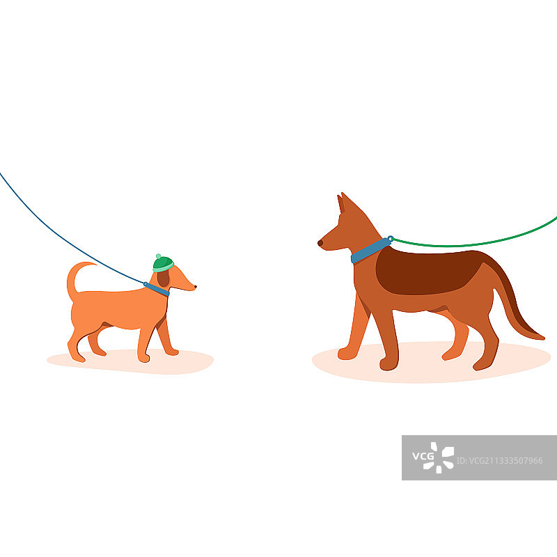 遛狗场所，有各种狗狗图片素材